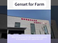 Yangdong Motoru 48KW 60KVA Ev Çiftliği için Sessiz Dizel Jeneratörü