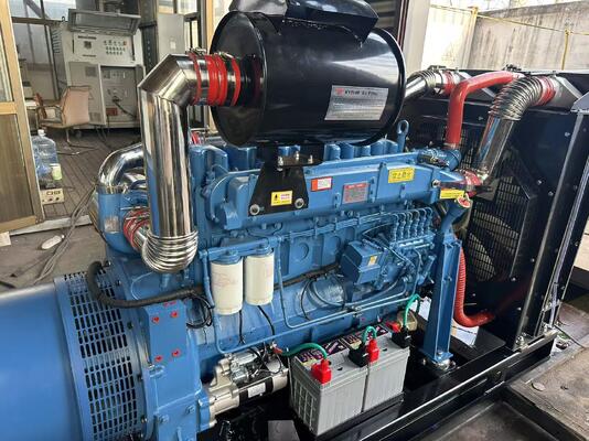200KW / 250KVA Açık / Kapalı / Ses geçirmez Dizel Jeneratör
